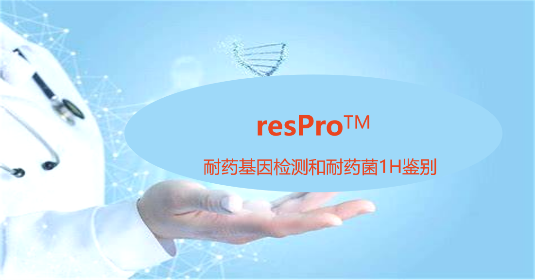 resPro，细菌耐药基因谱
