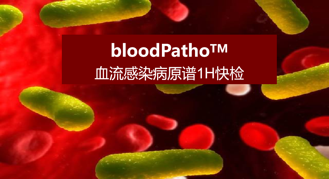 bloodPatho，血流感染病原谱