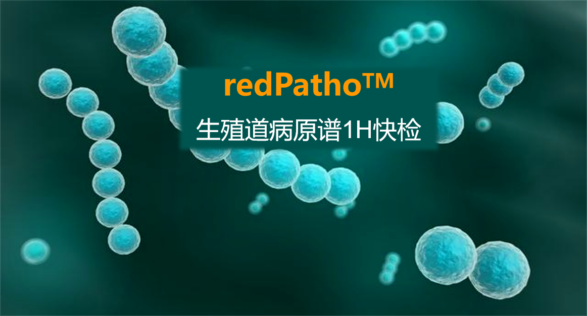 redPatho，生殖道感染病原谱