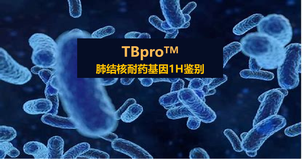 TBpro，结核菌耐药谱